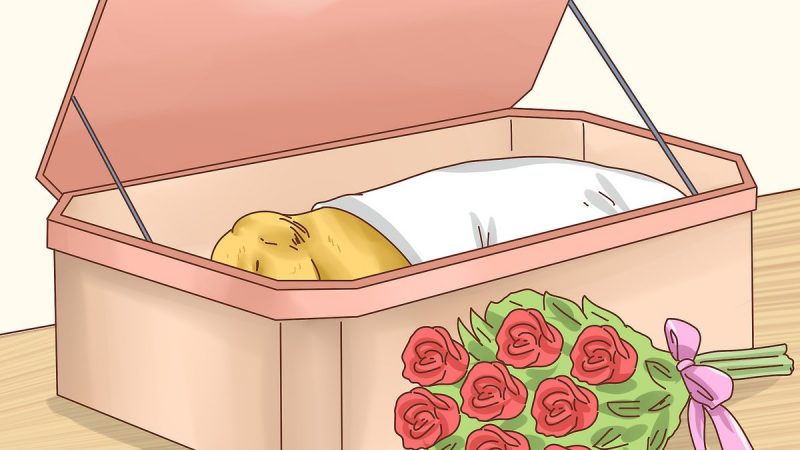 Come seppellire un animale senza farlo soffrire