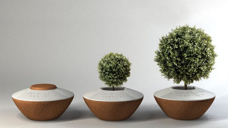 Cosa sono le urne biodegradabili?